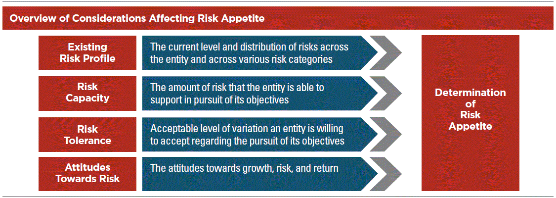 Risk Appetite Levels